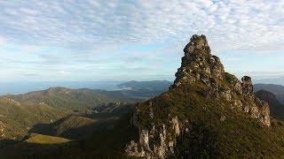 Great Barrier Island New Zealand [upl. by Eimirej52]