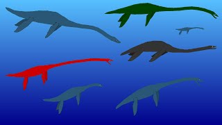 Sea Monsters  Plesiosaur Size Comparison  Extinct Plesiosaurus [upl. by Acinomaj]