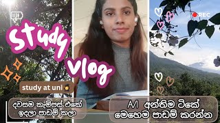 Study vlog📚Al time table ලැබුනාම පාඩම් කරන්න දවස් බෙදාගන්නේ කොහොමද🌈️study at university📚🎓viral [upl. by Lemmy]