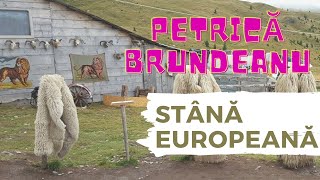 Petrică Brundeanu  Am stână europeană [upl. by Sahpec474]