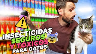 Cómo ACABAR CON INSECTOS 🦟 DE FORMA SEGURA ✅ en casas CON GATOS 🐱 Tierra de diatomeas aceites y [upl. by Nyladam171]