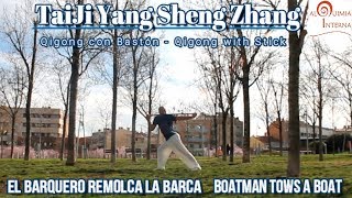 TaiJi Yang Sheng Zhang  Qigong con Bastón  with Stick [upl. by Plunkett]