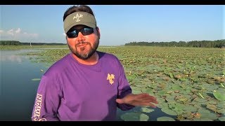 Lures To Throw On Toledo Bend During The Post Spawn And Early Summer Months [upl. by Blondie12]