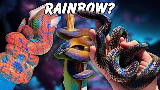 Amazing RAINBOW SNAKES And the Science behind Them [upl. by Nuawad]