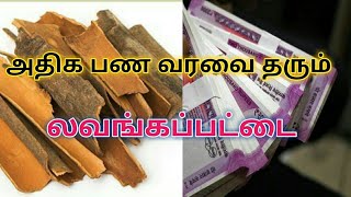 lavanga pattai in tamil  அதிக பண வரவை தரும் லவங்கப்பட்டை sithargal  சித்தர்கள் [upl. by Kolodgie]