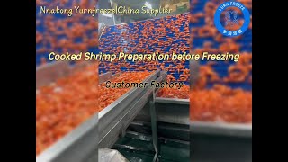 Cooked Shrimp Preparation before Freezing [upl. by Lay]