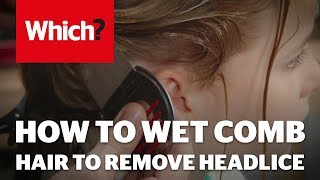 How to wet comb hair to remove headlice [upl. by Johathan655]