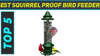 Top 5 Best Squirrel Proof Bird Feeders in 2024 [upl. by Artek802]