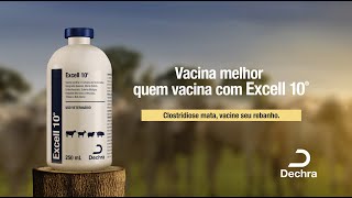 Vacina melhor quem vacina com Excell 10® [upl. by Prosser]