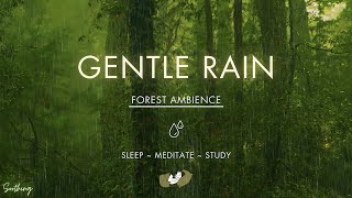 Gentle Rain On Forest Ground  NO MIDROLL ADS  Soft Rain Sounds For Sleeping [upl. by Ai299]