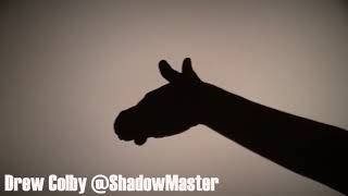 Horse Hand Shadow Tutorial [upl. by Ihel386]