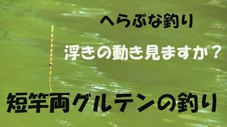 へらぶな釣り 両グルテン＆両グルダン＆両ダンゴの釣り紹介します！ ２０２４年４月度高槻無名会 ※様々なヘラ浮きの動き、短竿 浅タナカッツケ釣りでも動きます！ハイブリッドトップは次回に詳しく（NO１） [upl. by Akcirre]