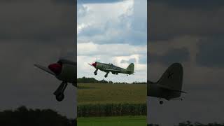 Hawker Sea Fury  giant scale RC plane  Landing fault [upl. by Aicala504]