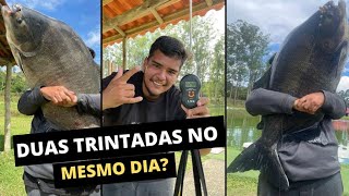 DUAS TRINTADAS DO ROJOLAS NO MIHARA BOSS FISHING [upl. by Hedve]