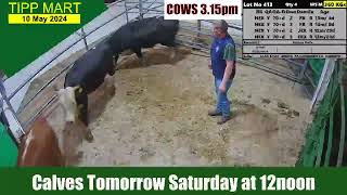 TIPPERARY TOWN MART 10 May 2024 Cattle [upl. by Red]