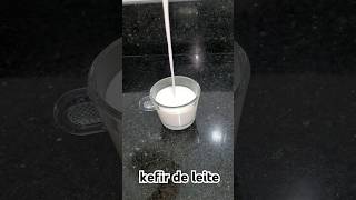 Kefir contém Lactobacillus casei shirota [upl. by Ru]