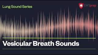 Vesicular Breath Sounds  EMTprepcom [upl. by Tomlinson]