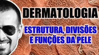 Sistema Tegumentar  Pele Estrutura divisões camadas e funções  VideoAula 036 [upl. by Denie170]