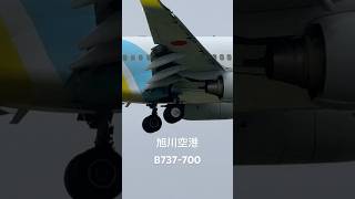 20241122旭川空港AIRDO81着陸シーンB737700JA07ANairdo 旭川空港 [upl. by Harmonia812]