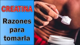 CREATINA MONOHIDRATO VENTAJAS Y DESVENTAJAS ACTUALIZACION 2023 ANÁLISIS MÉDICO creatina muscle [upl. by Otecina285]