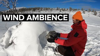 Field Recording Lapland Ep 16 Wind Ambience at the Fells [upl. by Darcee]