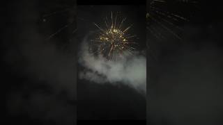 Diwali pataka tasting 2024 shortvideos viralvideos [upl. by Siderf65]