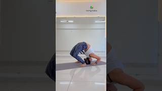 Chakrasana Variation yogaurmi yogaposes urmiyogaacademy shorts shortvideo yoga yogaasana [upl. by Thayne]