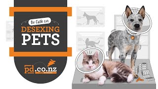 Dog and Cat Desexing Dr Cath on Pros and Cons of Spaying and Neutering Your Pet [upl. by Dlanod]