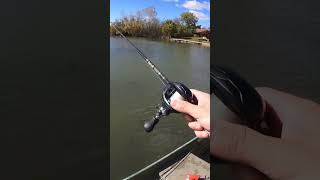 Jump scared by a bass fishing bassfishing anglingtips fishingvideo anglingforeveryone [upl. by Spearman539]