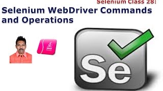 Selenium 28 Selenium WebDriver Commands [upl. by Camey]