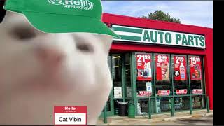 Cat Vibin to the OReilly Auto Parts Song [upl. by Suicul22]