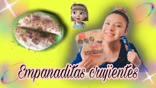 ✨Empanadas crujientes con 2 ingredientes 🥟🤗 fácil y rápido ✨ [upl. by Avlem]