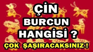 ÇİN ASTROLOJİSİNDE ÇOK ŞAŞIRACAĞINIZ BURÇ ÖZELLİKLERİNİZ [upl. by Hollinger760]