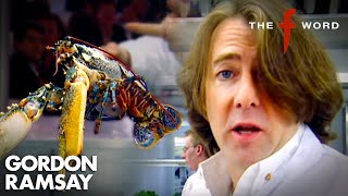 Teaching Jonathan Ross How To Cook Lobster 🦞  The F Word  Gordon Ramsay [upl. by Arayk]