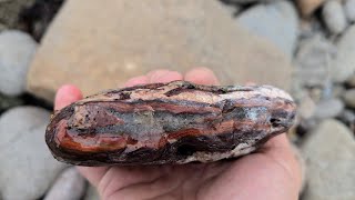 Rockhounding the Bay of Fundy  Pt1 [upl. by Judus]