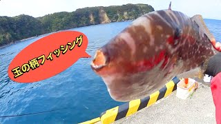 玉の柄で魚を釣ろう【玉の柄フィッシング】 [upl. by Malaspina]