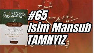 65 Mukhtasar Jiddan  BAB TAMNYIZ [upl. by Esiom]