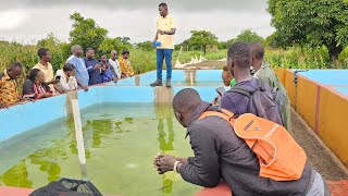 FORMATION EN PISCICULTURE [upl. by Cassidy668]