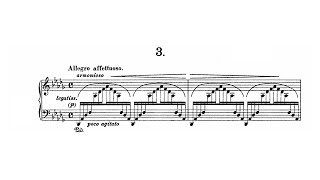 Liszt  Un Sospiro Hamelin [upl. by Nedrob]