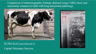 Comparison of ultrasonographic findings [upl. by Winifred]