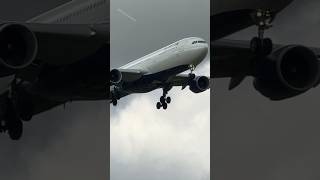 AIRBUS A330323 DELTA AIR LINES MINNEAPOLIS TO AMSTERDAM LANDING SCHIPHOL AIRPORT  PLANE SPOTTING [upl. by Whitver]