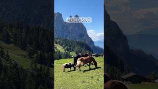 Un luogo da sogno È l’Alpe di Siusi gioiellò dell’Alto Adige dolomiti shorts [upl. by Samid574]