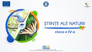 Ciclul de viață al plantelor [upl. by Akinet403]