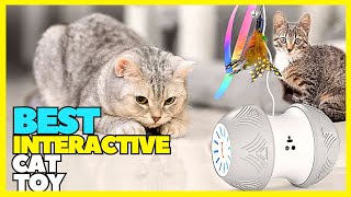 Top 5 Best Interactive Cat Toy On 2023 Laser And Robotic Cat Toy [upl. by Etnoved]