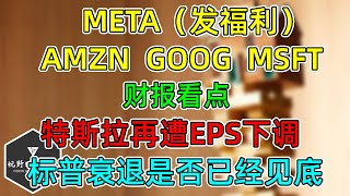 美股 GOOG、MSFT、META（发福利）、AMZN，财报看点！汽车负担能力恶化！特斯拉再遭EPS下调！标普盈利预期是否已经见底？ [upl. by Lamok116]