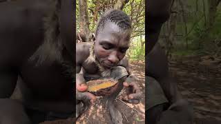 Hadzabe tribe Lunch Time So delicio food Culture tradition shortsvideo shortvideo reels short [upl. by Ahtnamys]