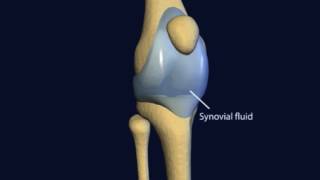 Understanding Joint Health  Cosamin®ASU [upl. by Cooper]