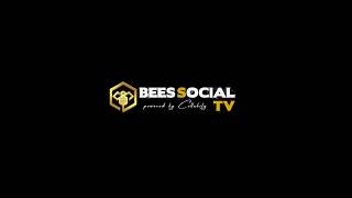 Who and What are the Social BEEs  DAO  Blue Chip NFTs [upl. by Akihdar]