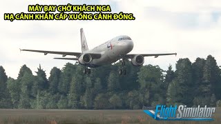 MÁY BAY NGA HẠ CÁNH KHẨN CẤP TRÊN CÁNH ĐỒNG  URAL AIRLINES 1383 [upl. by Carson]