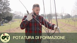 La potatura di formazione  Il contadino Nick [upl. by Einapets]